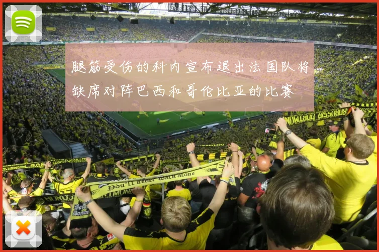 腿筋受伤的科内宣布退出法国队将缺席对阵巴西和哥伦比亚的比赛