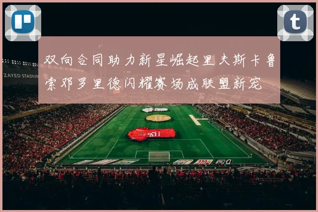 双向合同助力新星崛起里夫斯卡鲁索邓罗里德闪耀赛场成联盟新宠